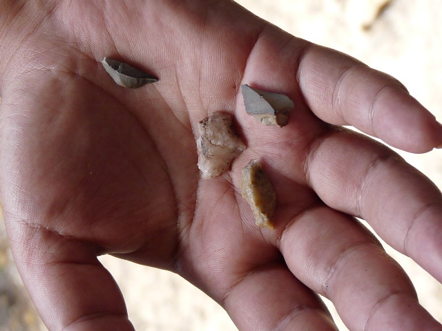 Stone artefacts, scrapers near Mudgee